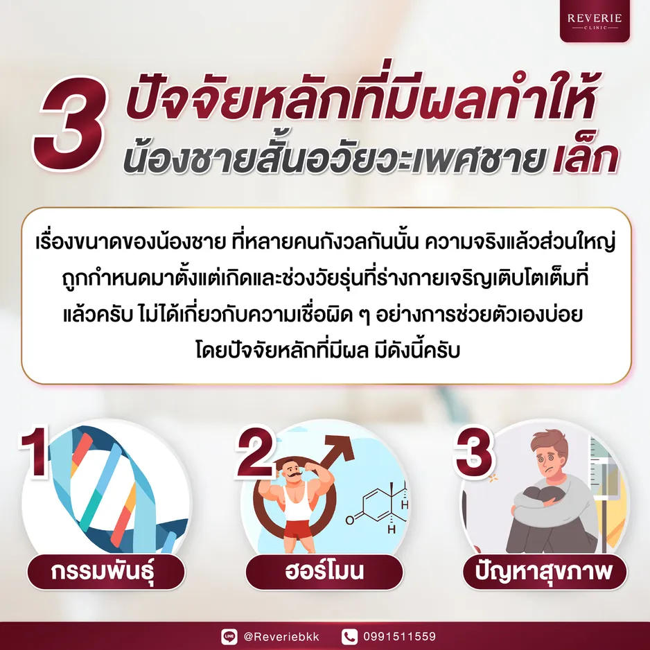 3 สาเหตุของขนาดอวัยวะเพศชายที่เล็ก