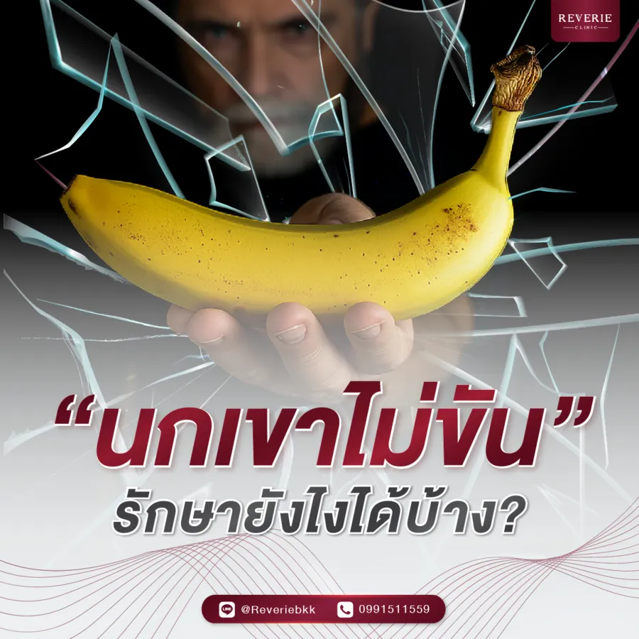 นกเขาไม่ขัน รักษายังไงได้บ้าง?
