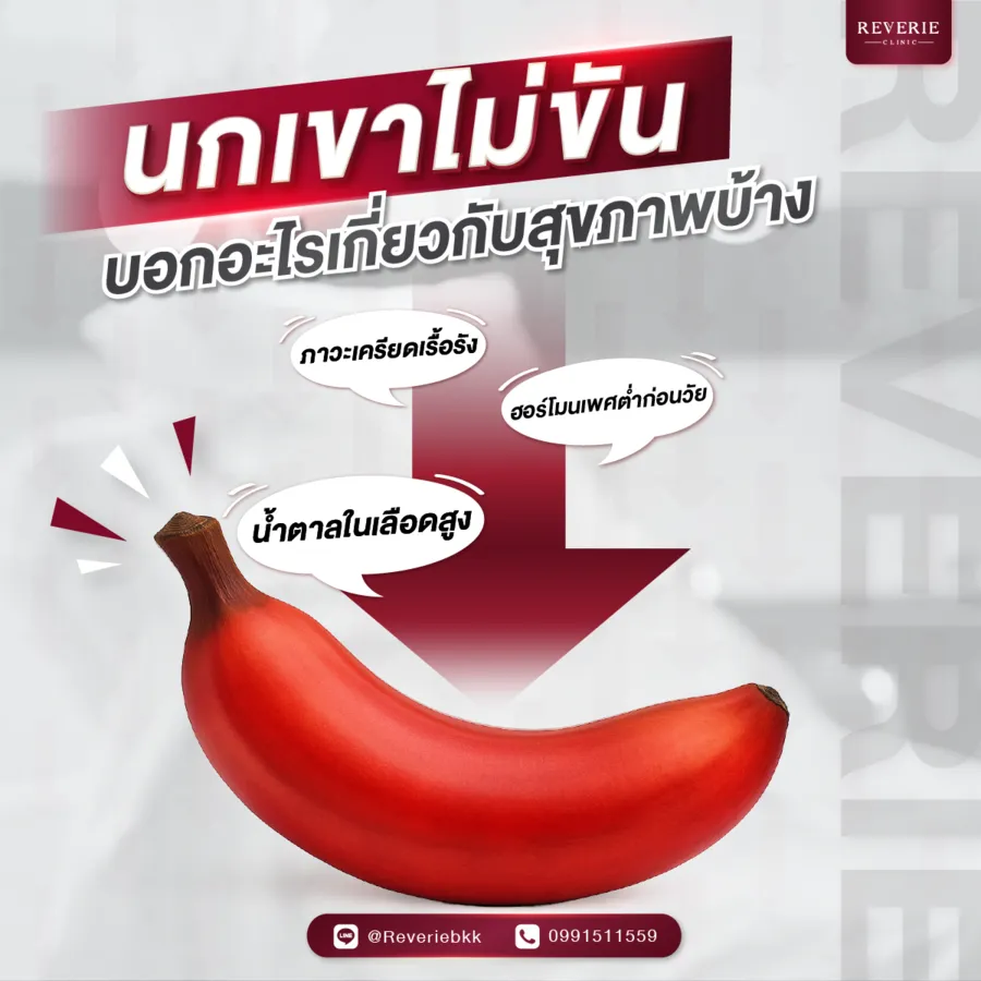นกเขาไม่ขัน บอกอะไรเกี่ยวกับสุขภาพบ้าง