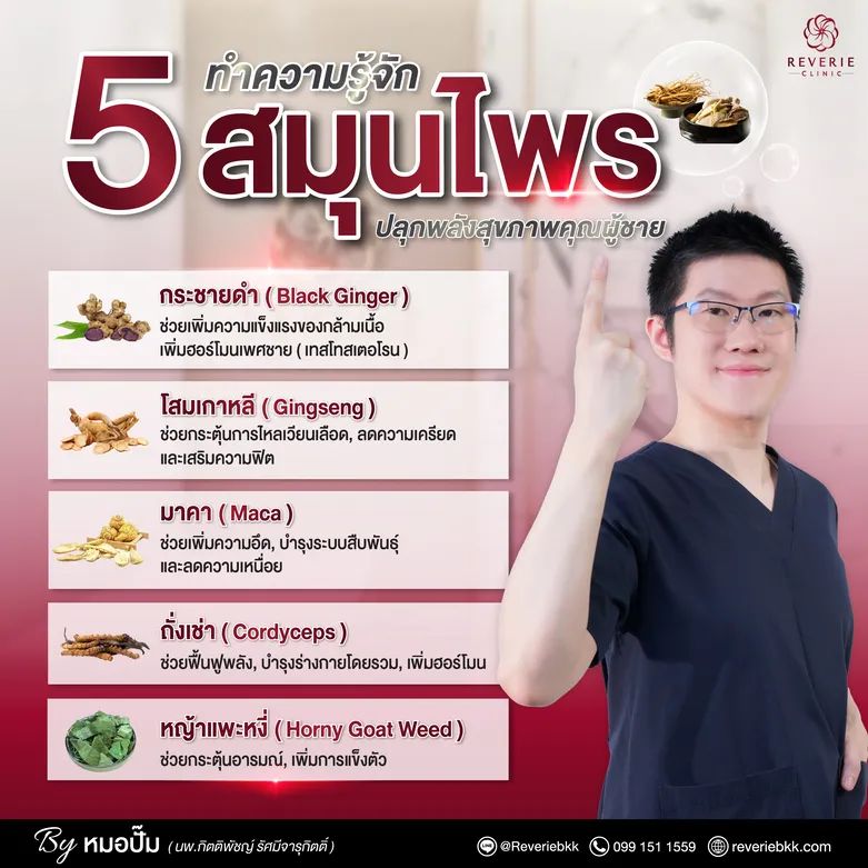 5 สมุนไพรยอดนิยม เพิ่มความฟิต