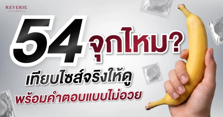 ไซส์ 54 จุกไหม เทียบขนาดมาตรฐานชายไทย พร้อมวิธีวัดไซส์ที่ถูกต้อง