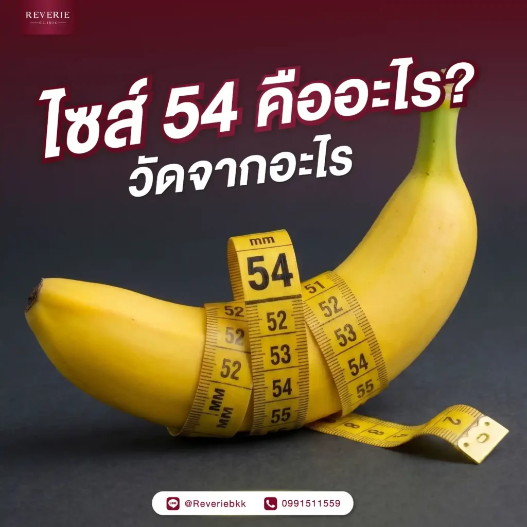ไซส์ 54 คืออะไร